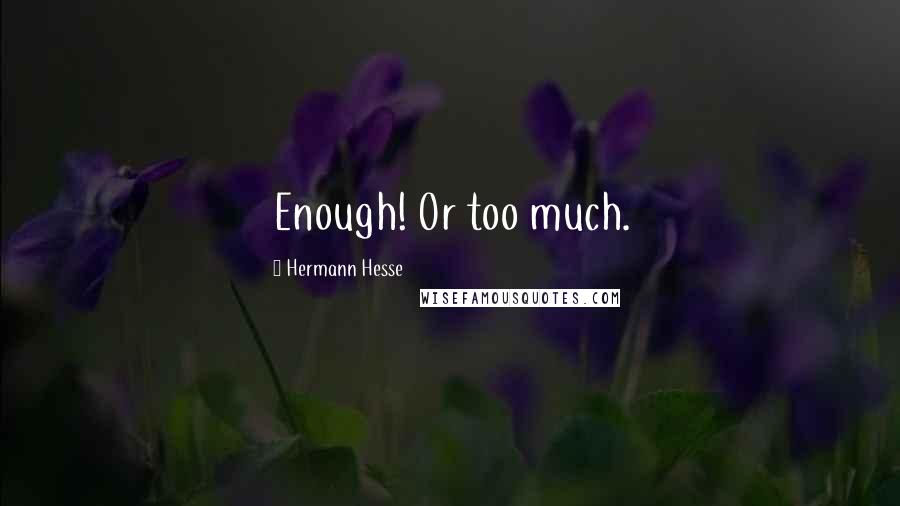 Hermann Hesse Quotes: Enough! Or too much.