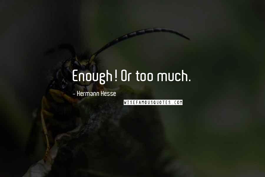 Hermann Hesse Quotes: Enough! Or too much.