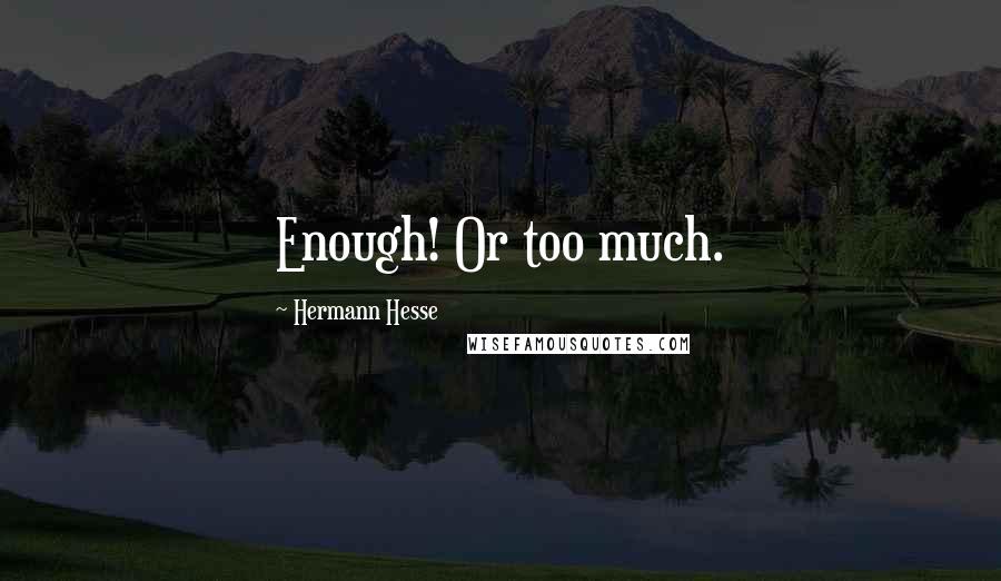 Hermann Hesse Quotes: Enough! Or too much.