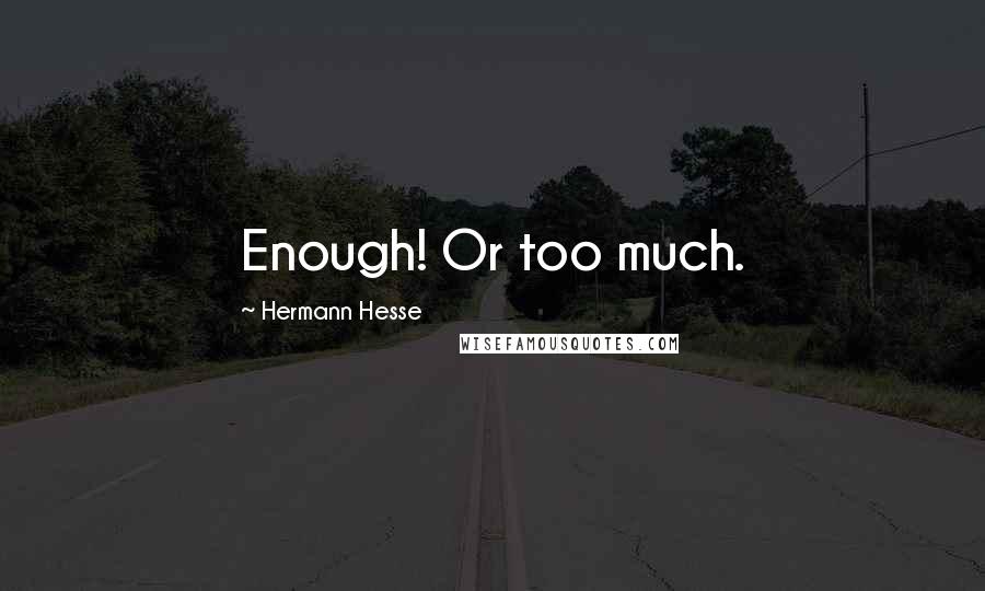 Hermann Hesse Quotes: Enough! Or too much.