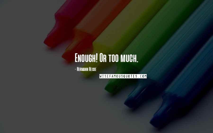 Hermann Hesse Quotes: Enough! Or too much.