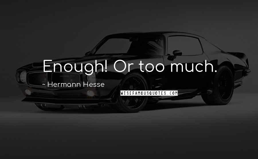 Hermann Hesse Quotes: Enough! Or too much.