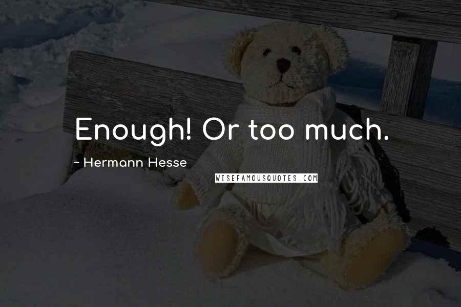 Hermann Hesse Quotes: Enough! Or too much.