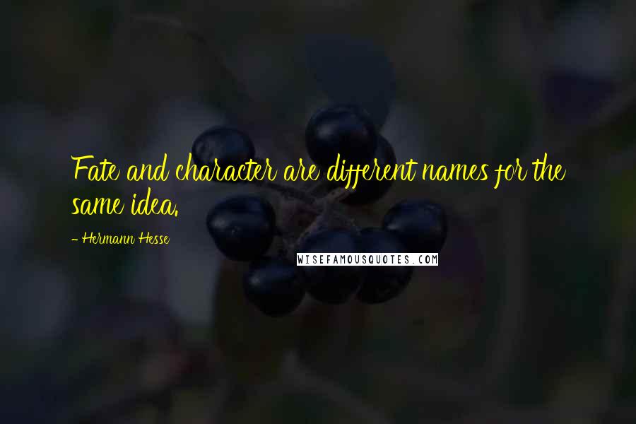 Hermann Hesse Quotes: Fate and character are different names for the same idea.