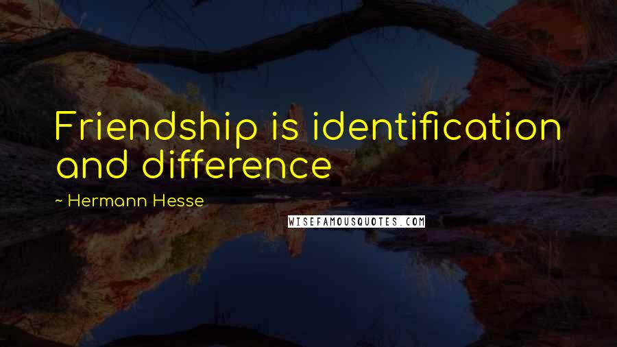 Hermann Hesse Quotes: Friendship is identification and difference