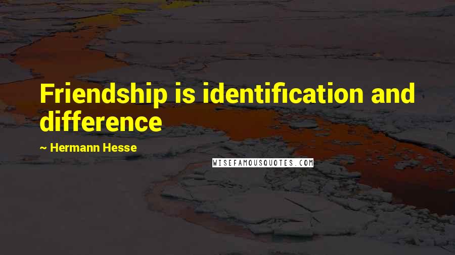 Hermann Hesse Quotes: Friendship is identification and difference