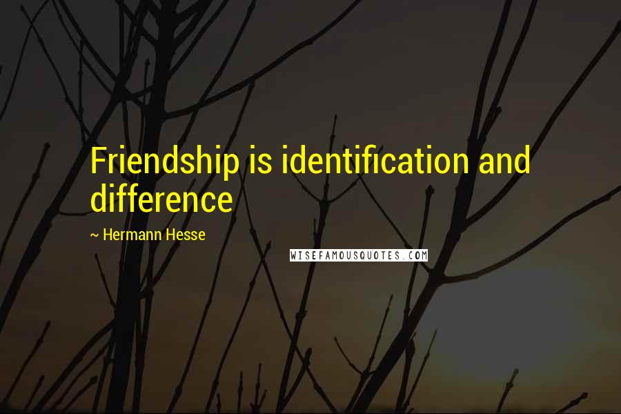 Hermann Hesse Quotes: Friendship is identification and difference