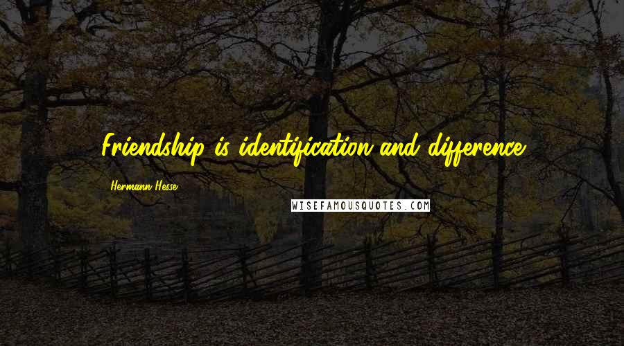 Hermann Hesse Quotes: Friendship is identification and difference