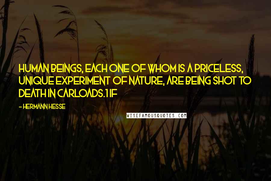 Hermann Hesse Quotes: human beings, each one of whom is a priceless, unique experiment of nature, are being shot to death in carloads.1 If