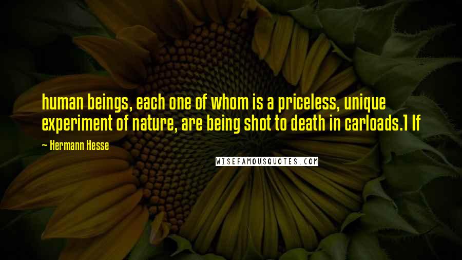 Hermann Hesse Quotes: human beings, each one of whom is a priceless, unique experiment of nature, are being shot to death in carloads.1 If