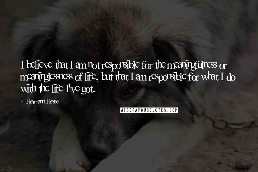 Hermann Hesse Quotes: I believe that I am not responsible for the meaningfulness or meaninglessness of life, but that I am responsible for what I do with the life I've got.