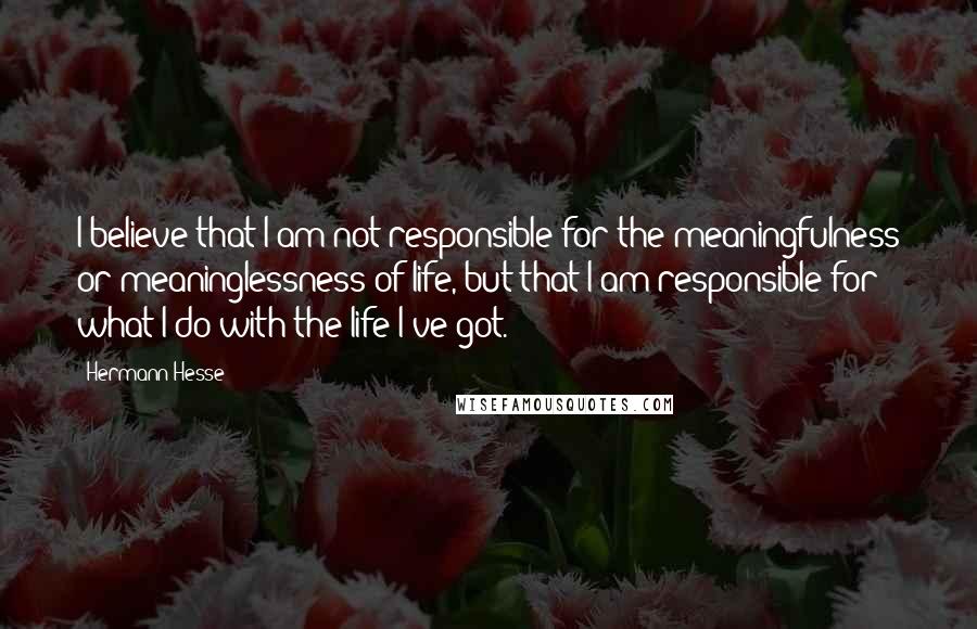 Hermann Hesse Quotes: I believe that I am not responsible for the meaningfulness or meaninglessness of life, but that I am responsible for what I do with the life I've got.