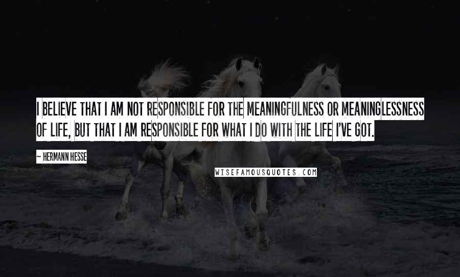 Hermann Hesse Quotes: I believe that I am not responsible for the meaningfulness or meaninglessness of life, but that I am responsible for what I do with the life I've got.