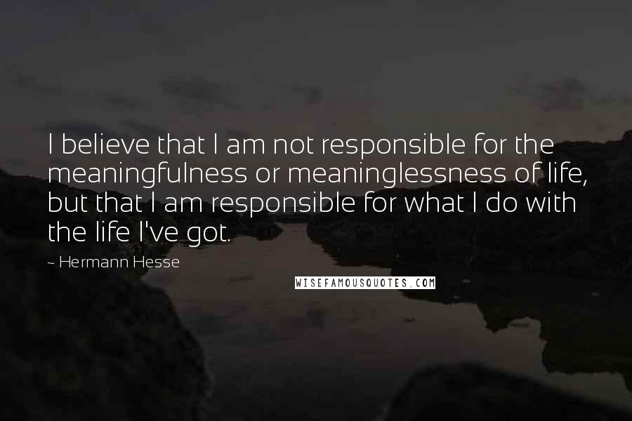 Hermann Hesse Quotes: I believe that I am not responsible for the meaningfulness or meaninglessness of life, but that I am responsible for what I do with the life I've got.