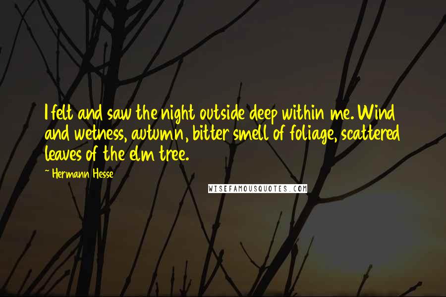 Hermann Hesse Quotes: I felt and saw the night outside deep within me. Wind and wetness, autumn, bitter smell of foliage, scattered leaves of the elm tree.