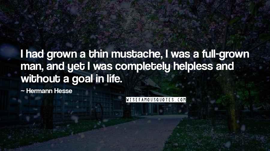 Hermann Hesse Quotes: I had grown a thin mustache, I was a full-grown man, and yet I was completely helpless and without a goal in life.