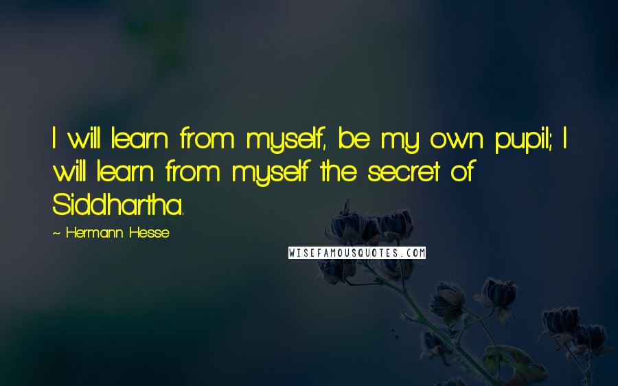 Hermann Hesse Quotes: I will learn from myself, be my own pupil; I will learn from myself the secret of Siddhartha.