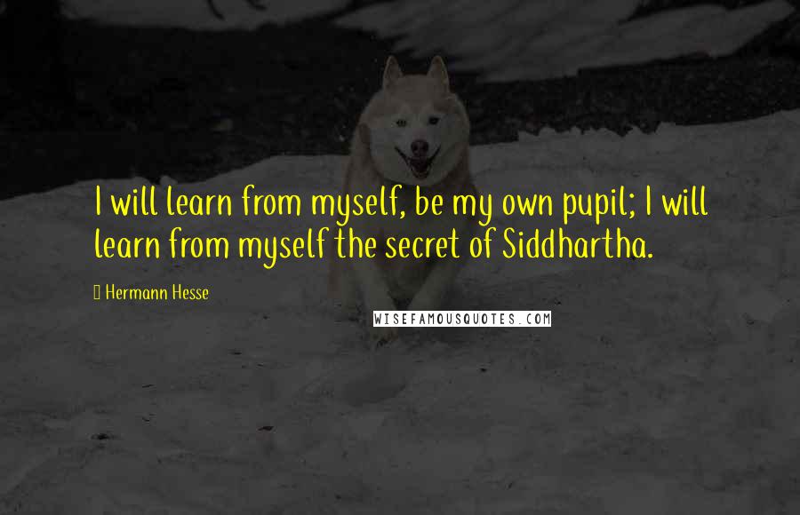 Hermann Hesse Quotes: I will learn from myself, be my own pupil; I will learn from myself the secret of Siddhartha.