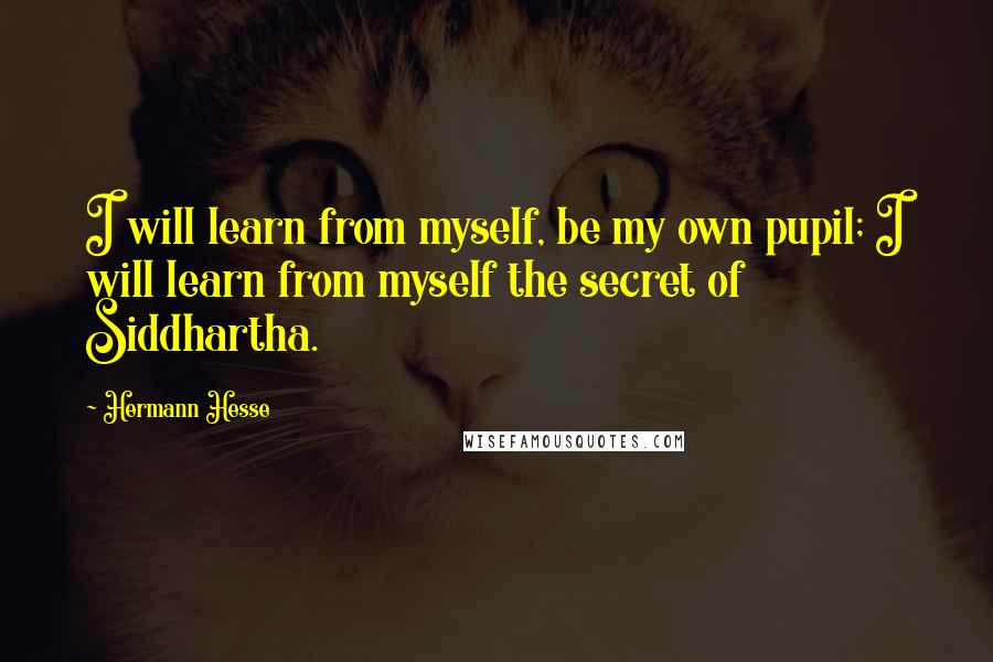 Hermann Hesse Quotes: I will learn from myself, be my own pupil; I will learn from myself the secret of Siddhartha.