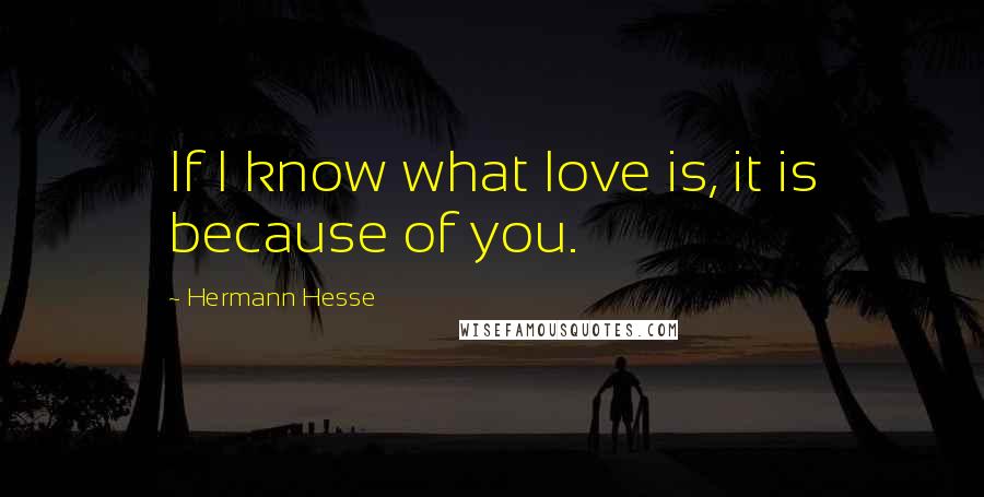 Hermann Hesse Quotes: If I know what love is, it is because of you.