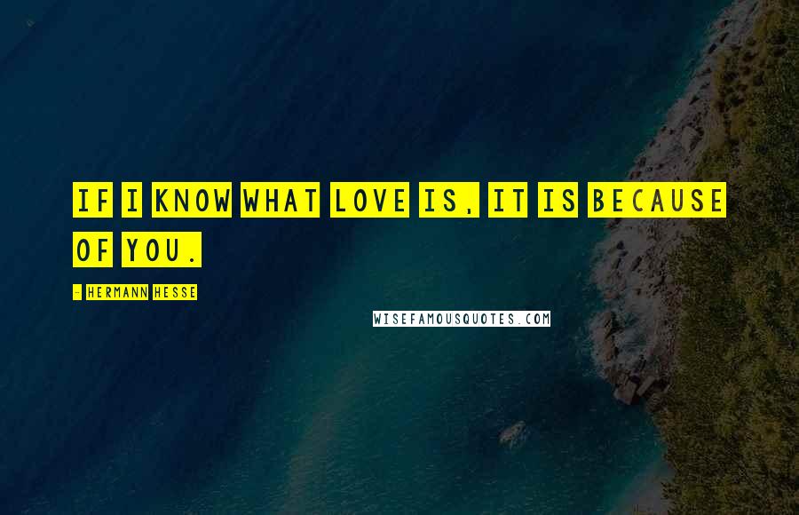 Hermann Hesse Quotes: If I know what love is, it is because of you.