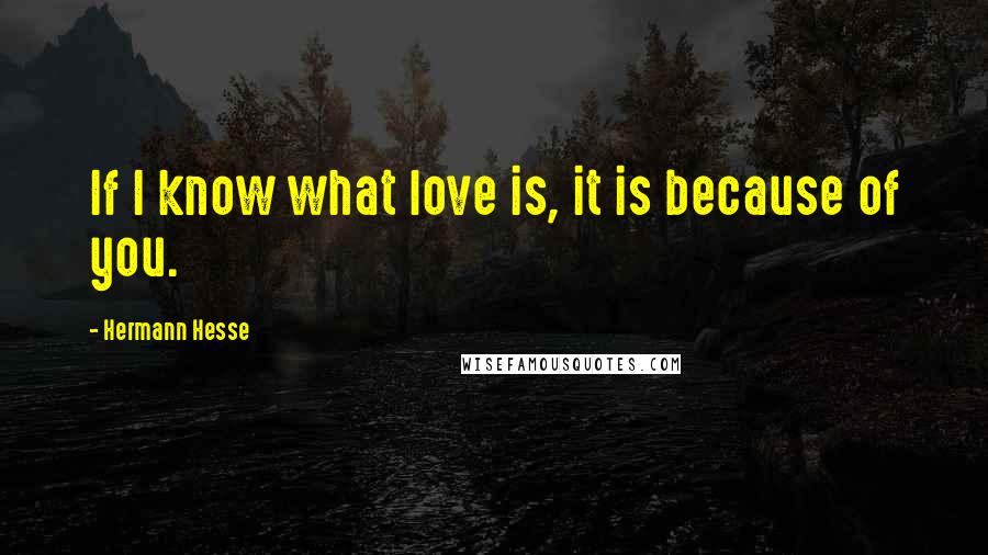 Hermann Hesse Quotes: If I know what love is, it is because of you.