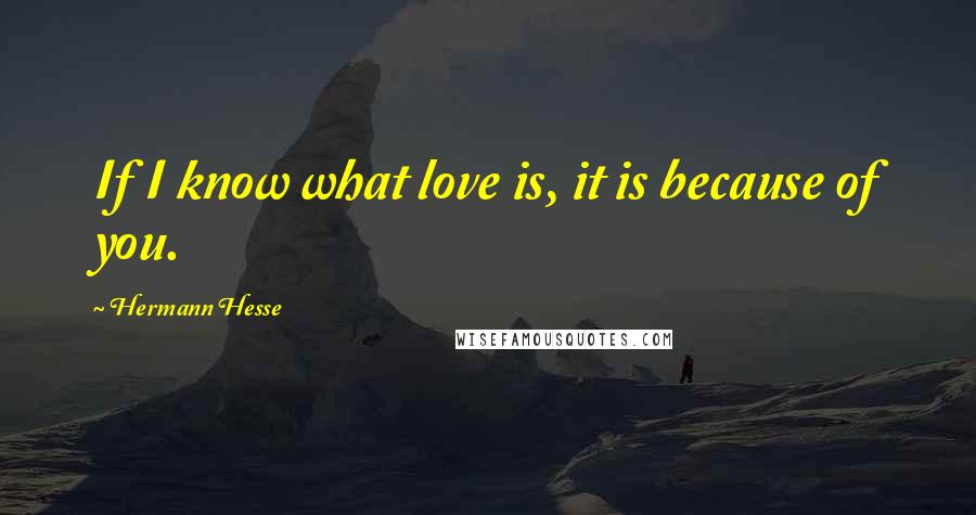 Hermann Hesse Quotes: If I know what love is, it is because of you.
