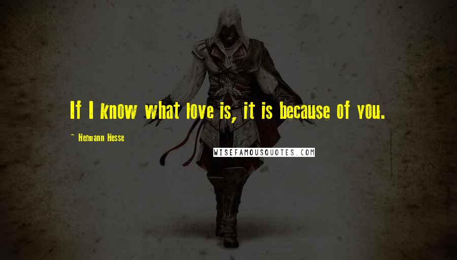 Hermann Hesse Quotes: If I know what love is, it is because of you.