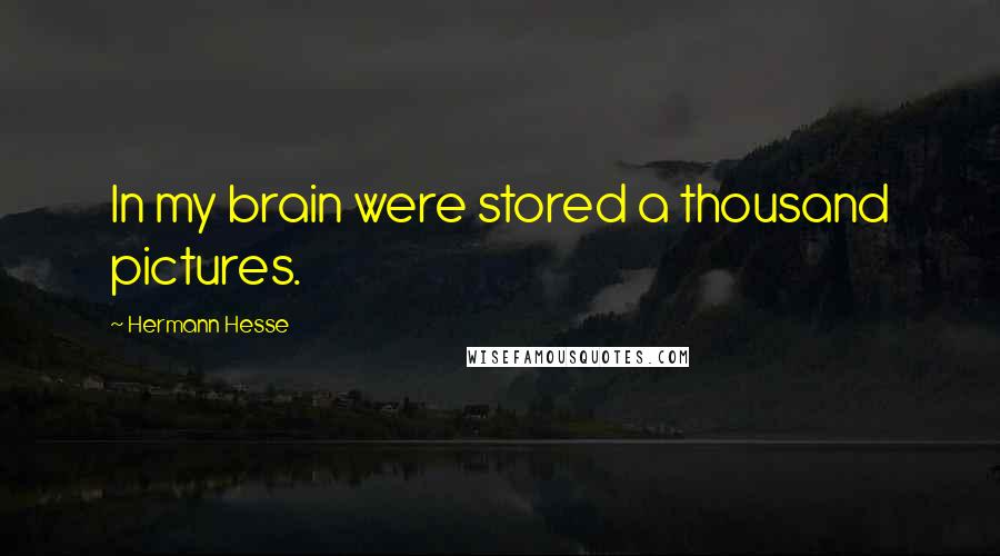 Hermann Hesse Quotes: In my brain were stored a thousand pictures.