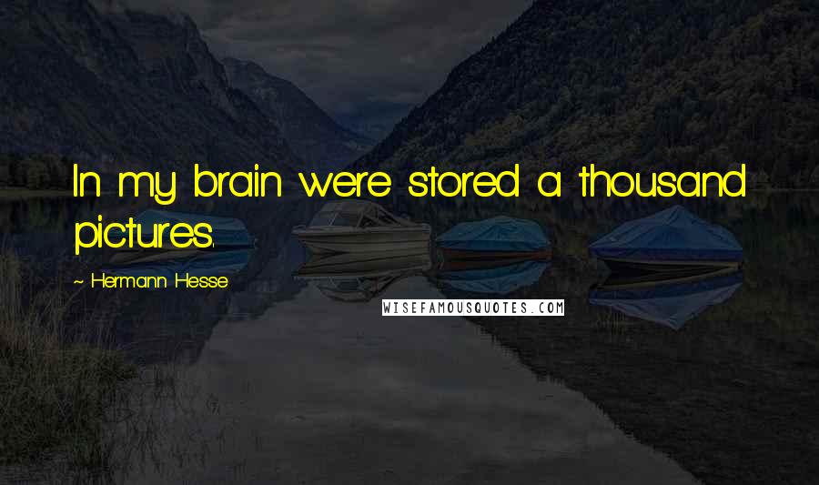 Hermann Hesse Quotes: In my brain were stored a thousand pictures.