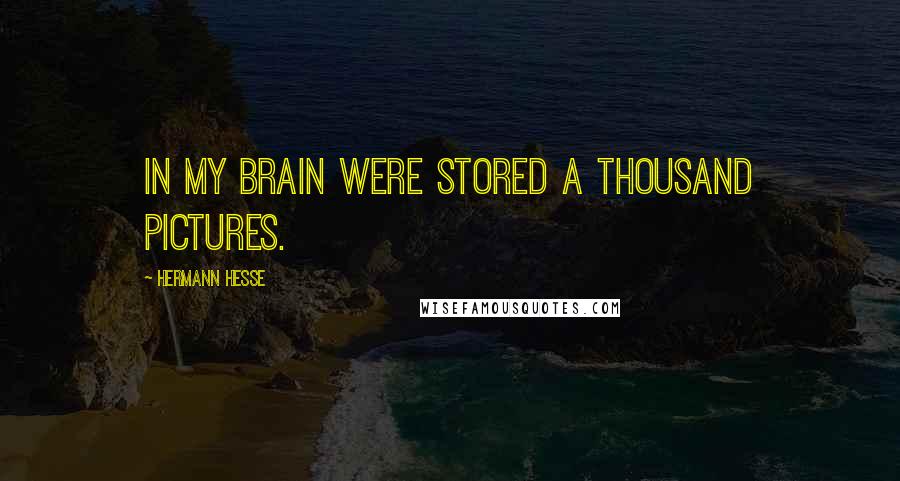 Hermann Hesse Quotes: In my brain were stored a thousand pictures.