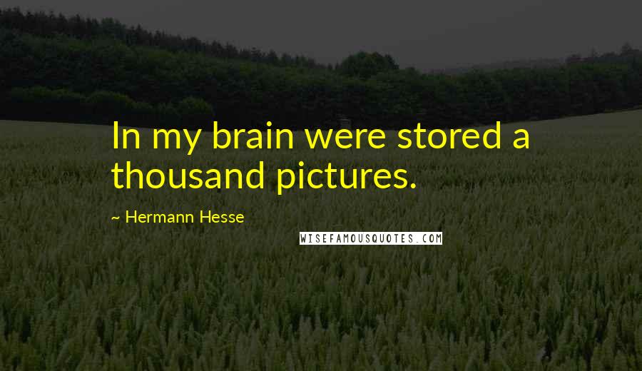 Hermann Hesse Quotes: In my brain were stored a thousand pictures.