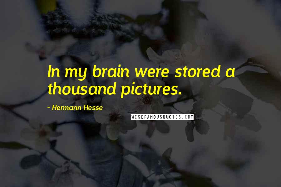 Hermann Hesse Quotes: In my brain were stored a thousand pictures.