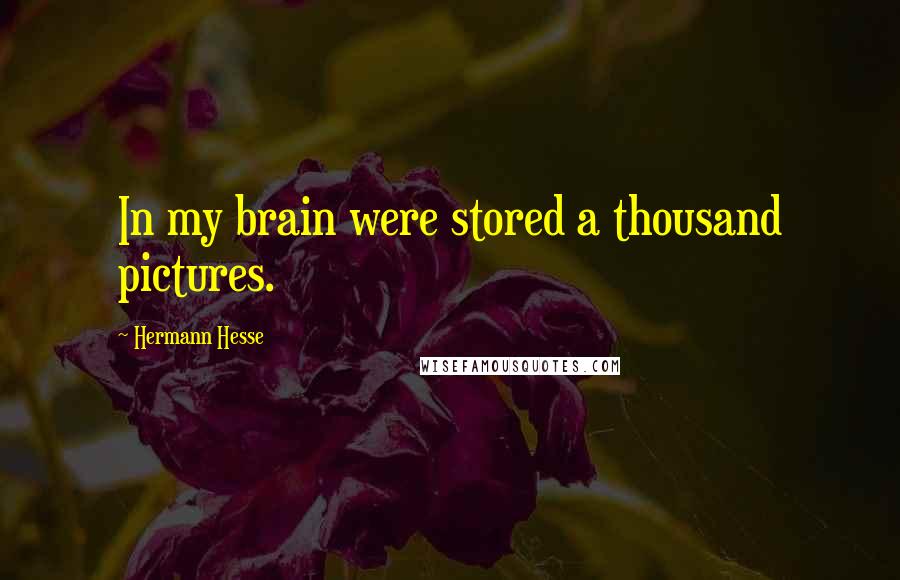 Hermann Hesse Quotes: In my brain were stored a thousand pictures.