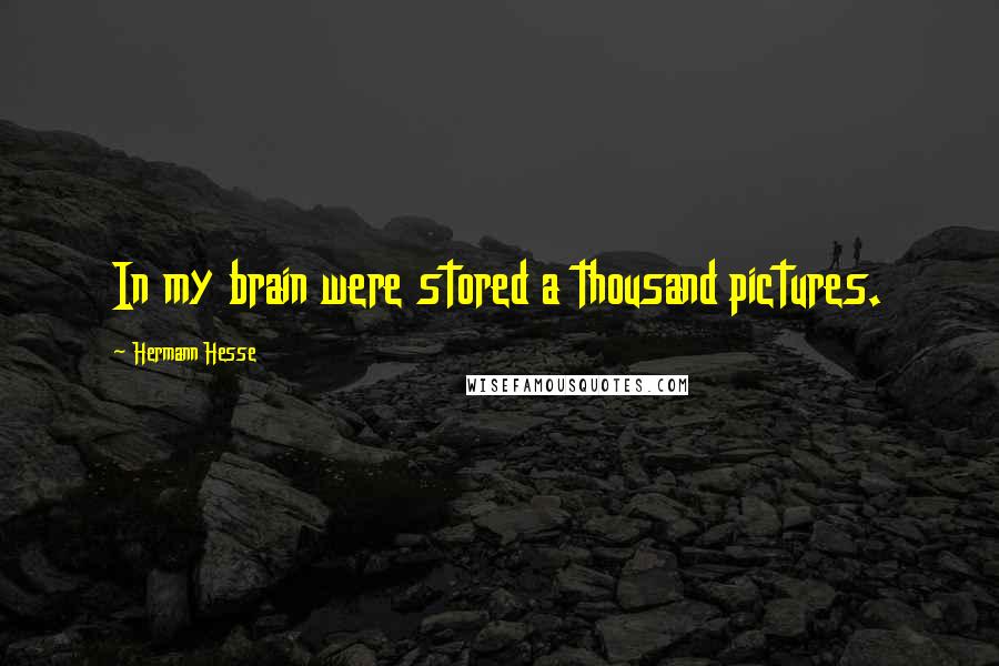 Hermann Hesse Quotes: In my brain were stored a thousand pictures.