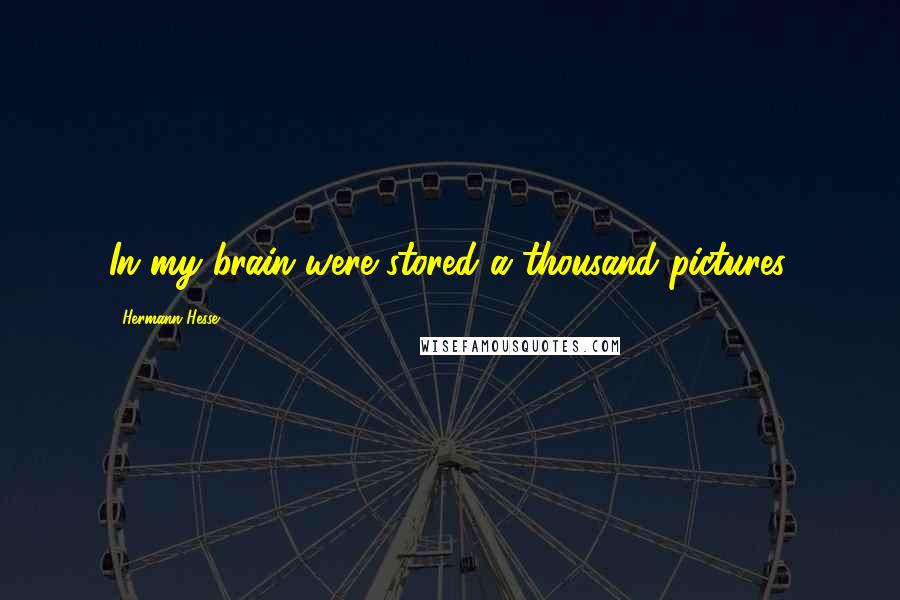 Hermann Hesse Quotes: In my brain were stored a thousand pictures.