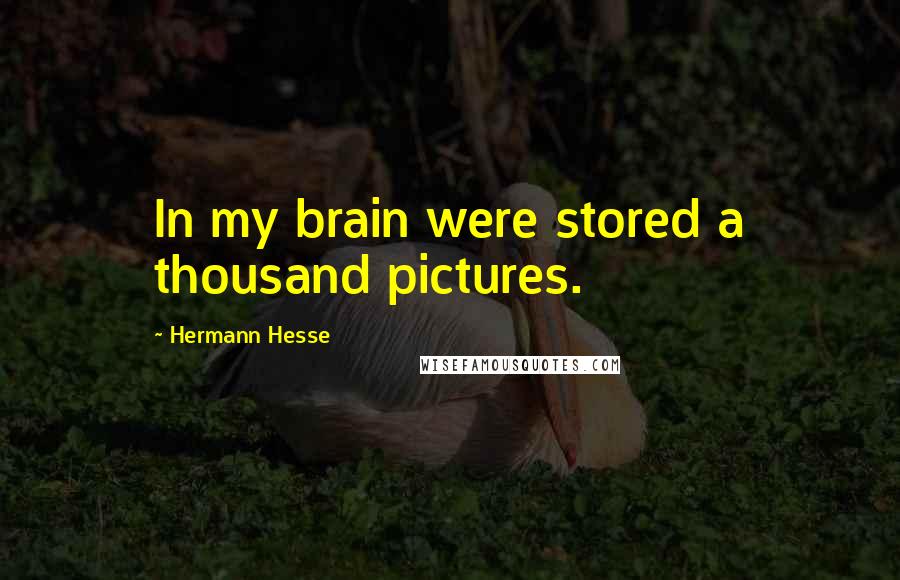 Hermann Hesse Quotes: In my brain were stored a thousand pictures.