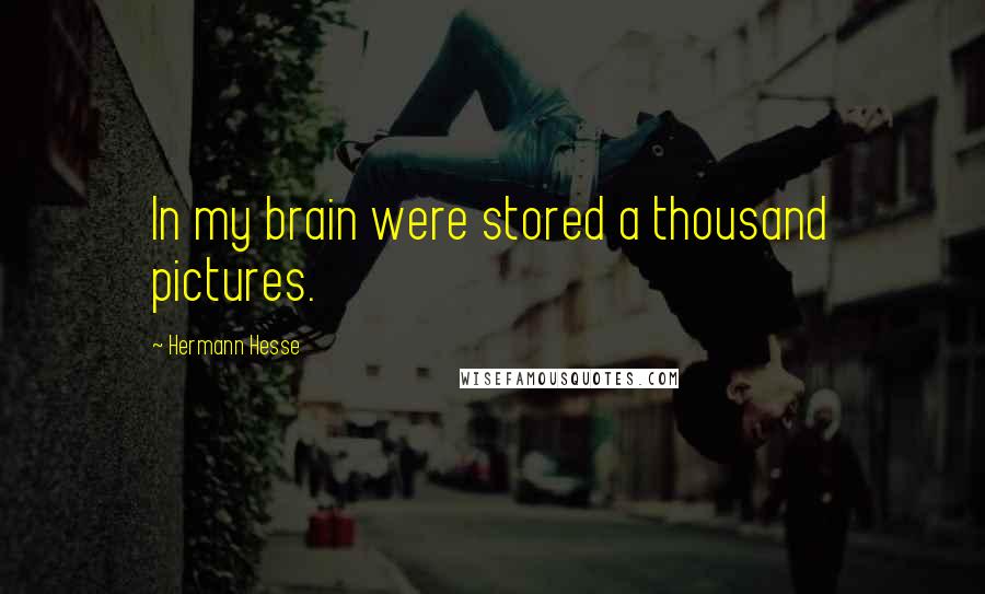 Hermann Hesse Quotes: In my brain were stored a thousand pictures.