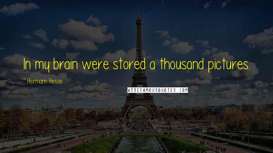 Hermann Hesse Quotes: In my brain were stored a thousand pictures.