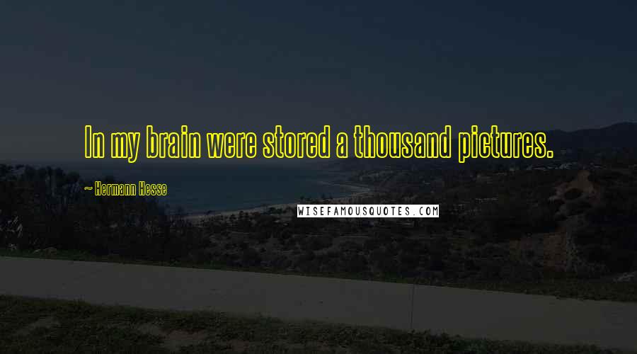 Hermann Hesse Quotes: In my brain were stored a thousand pictures.