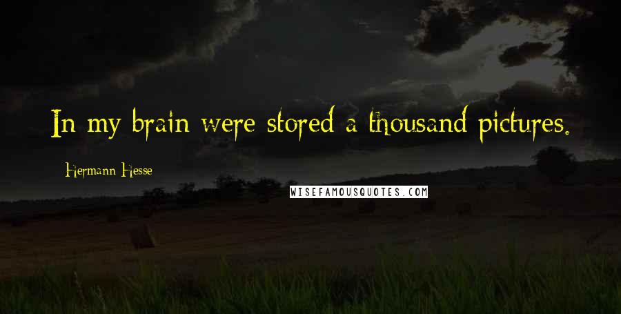 Hermann Hesse Quotes: In my brain were stored a thousand pictures.