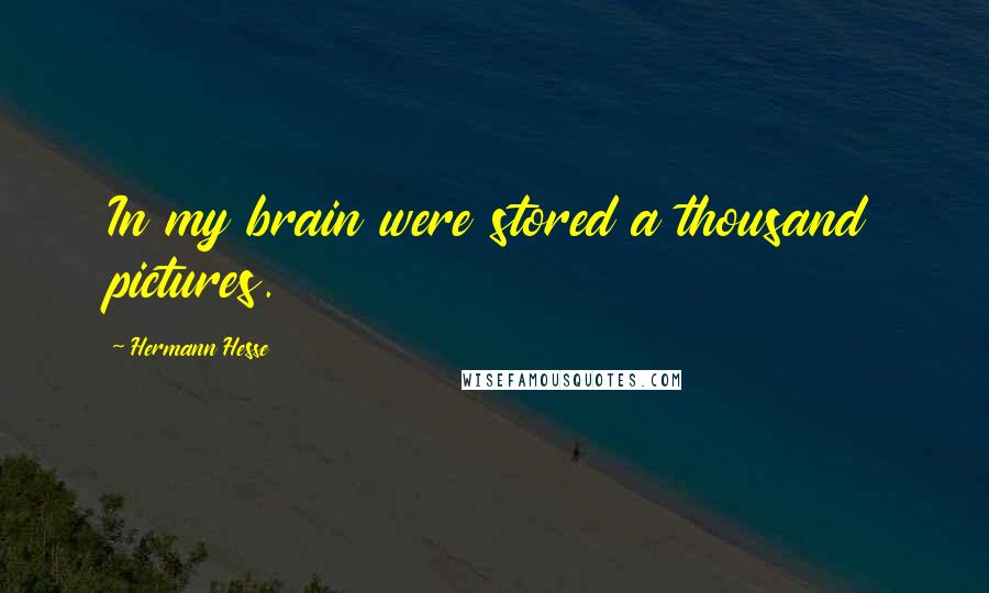 Hermann Hesse Quotes: In my brain were stored a thousand pictures.