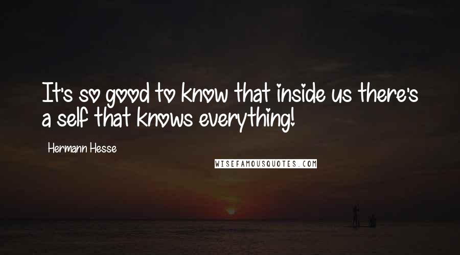 Hermann Hesse Quotes: It's so good to know that inside us there's a self that knows everything!