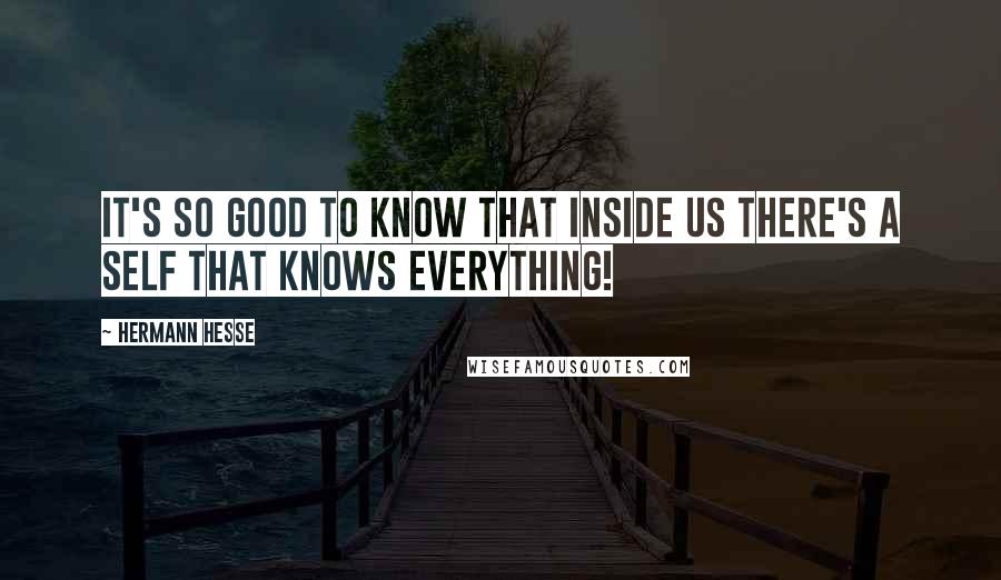 Hermann Hesse Quotes: It's so good to know that inside us there's a self that knows everything!