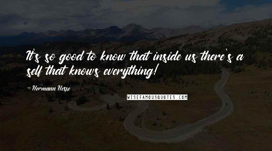 Hermann Hesse Quotes: It's so good to know that inside us there's a self that knows everything!