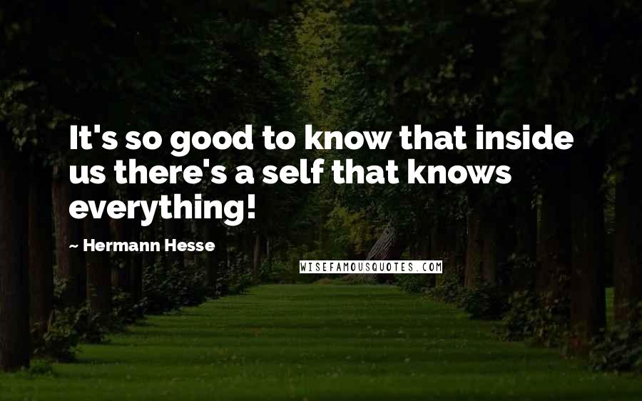 Hermann Hesse Quotes: It's so good to know that inside us there's a self that knows everything!