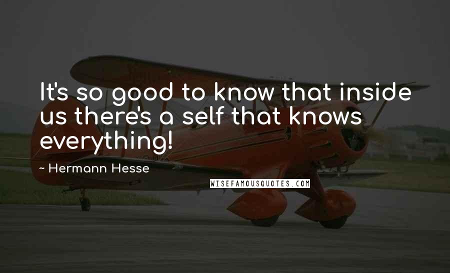 Hermann Hesse Quotes: It's so good to know that inside us there's a self that knows everything!