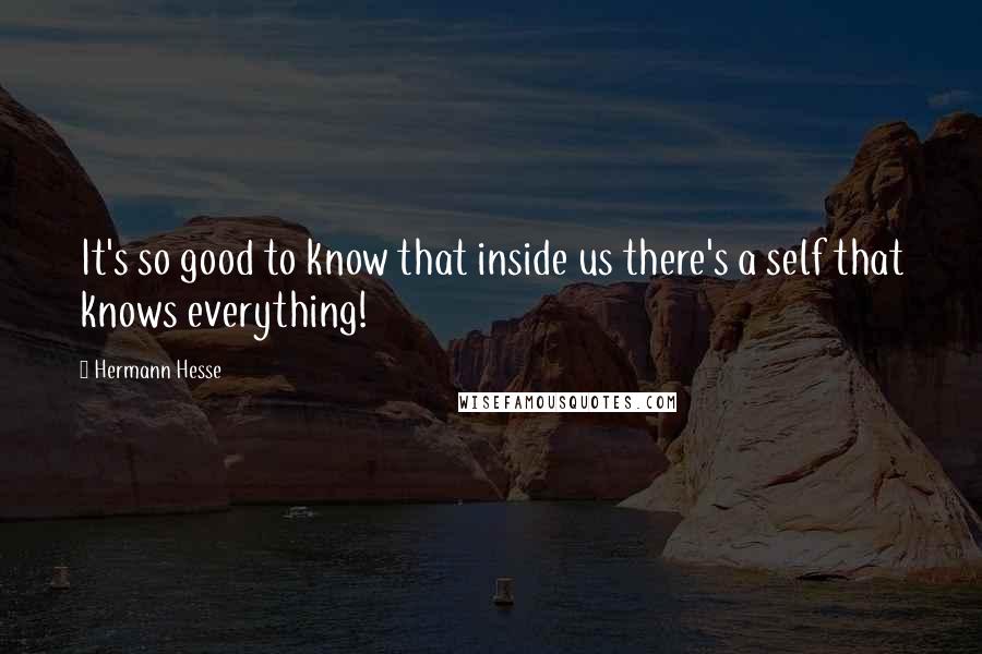 Hermann Hesse Quotes: It's so good to know that inside us there's a self that knows everything!