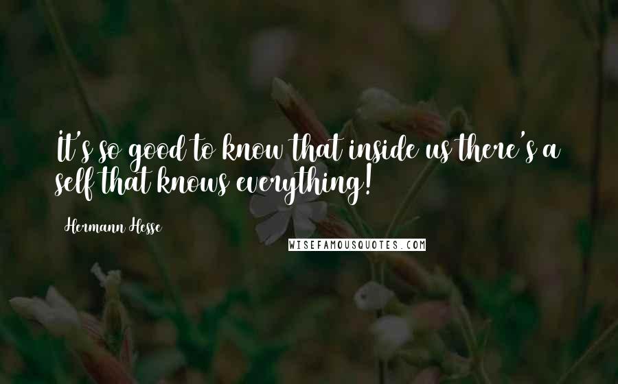 Hermann Hesse Quotes: It's so good to know that inside us there's a self that knows everything!