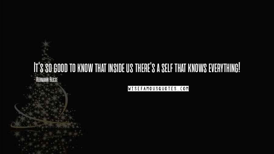 Hermann Hesse Quotes: It's so good to know that inside us there's a self that knows everything!